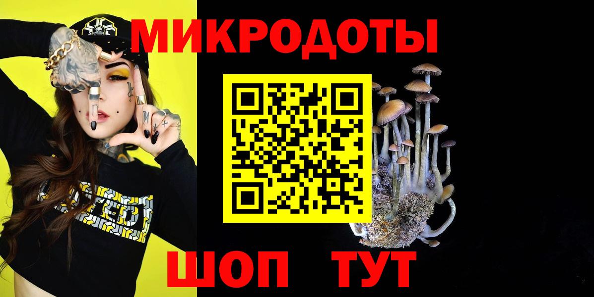 Галлюциногенные грибы Psilocybe Лабытнанги